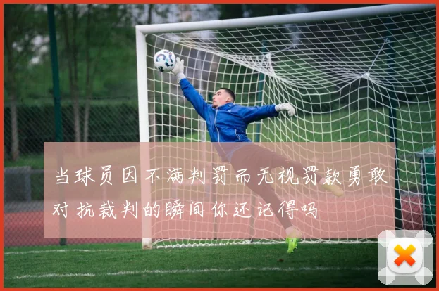 当球员因不满判罚而无视罚款勇敢对抗裁判的瞬间你还记得吗